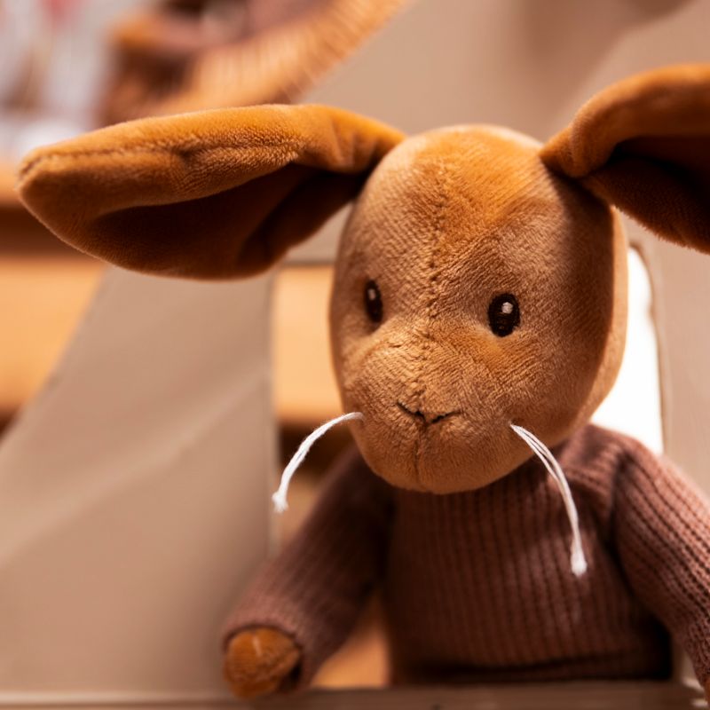 Dettaglio musetto Coniglietto rabbit