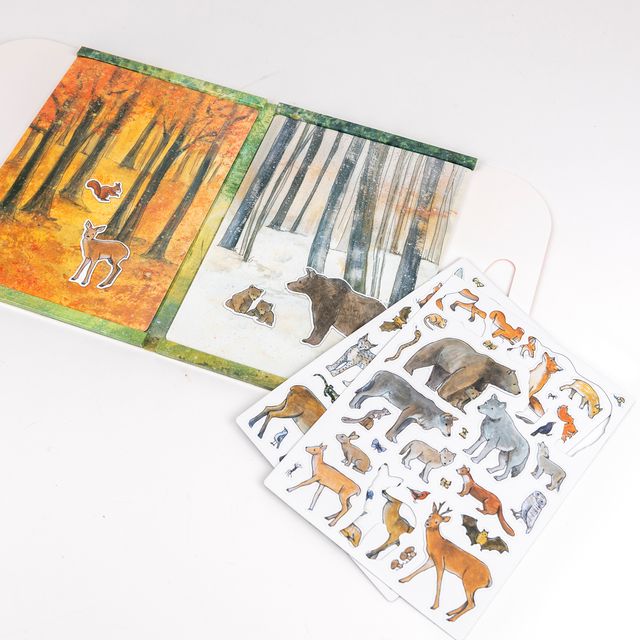 Gioco magnetico FOREST, Egmont Toys