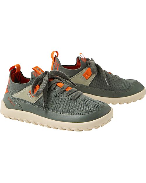 Xplorer/Step up