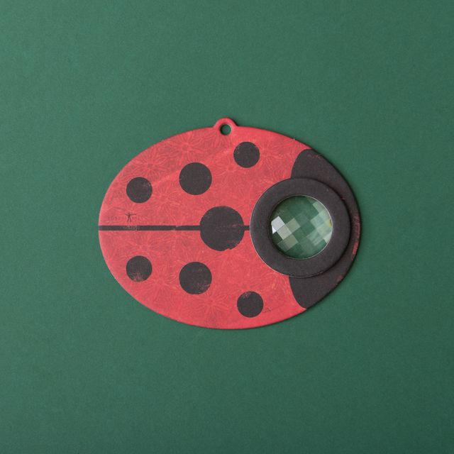 Londji, My Ladybird Eye, Caleidoscopio, Londji