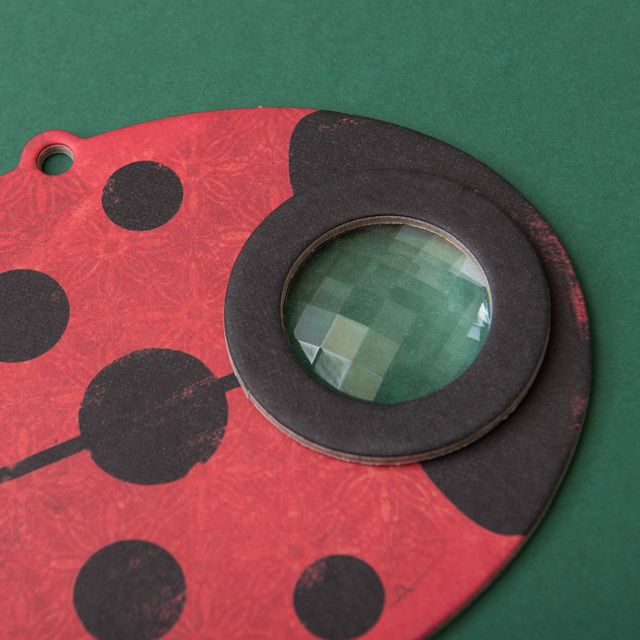 Londji, My Ladybird Eye, Caleidoscopio, Londji