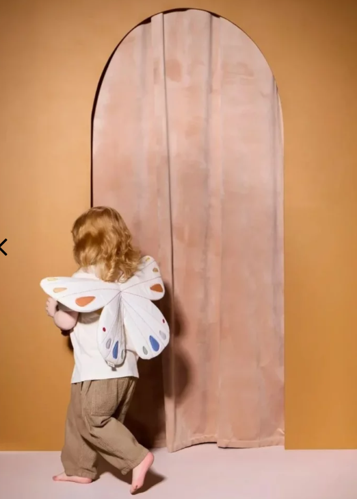 Ali di farfalla, travestimento, Kid's Concept