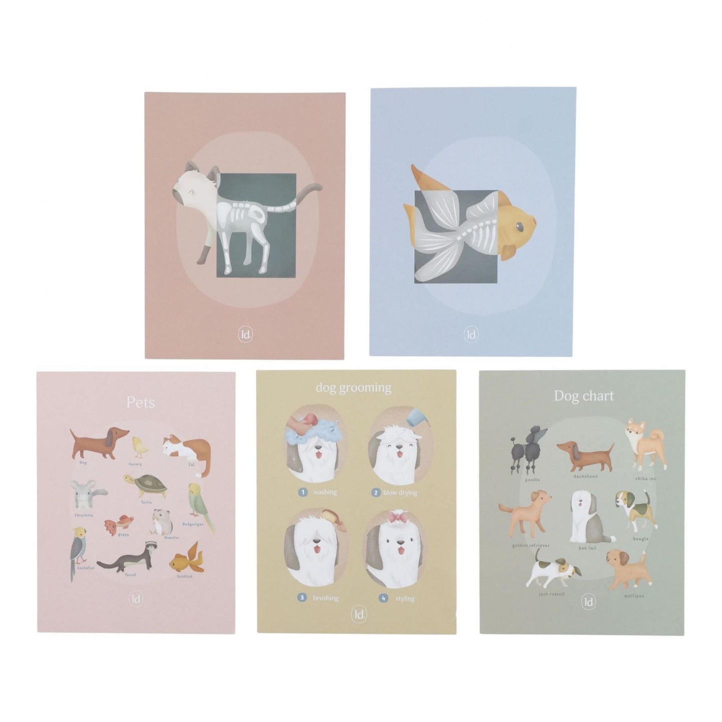 Banco del Veterinario, Wooden Veterinary Practise, Little Dutch