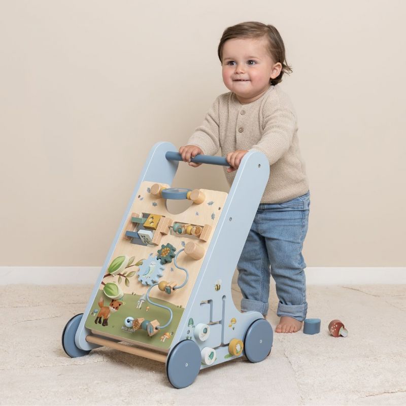 Carrello primi passi attività multifunzione, Little dutch