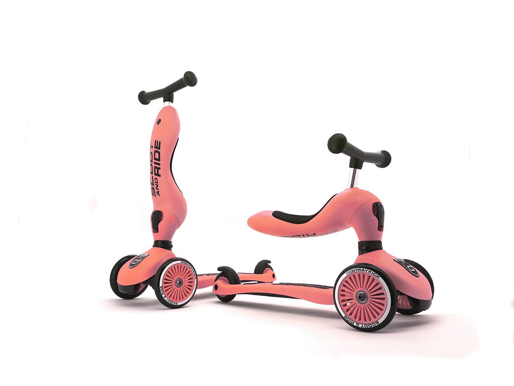 Monopattino e Triciclo 2in1 colore Pesca, Scoot and Ride